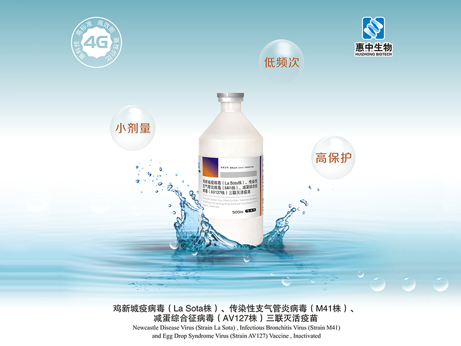 洛陽惠中生物技術(shù)有限公司